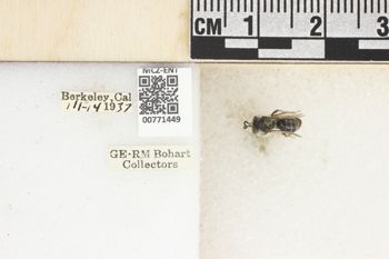 Media type: image;   Entomology 771449 Aspect: Labels